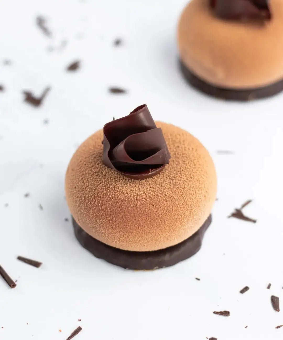 Gâteau Ecrin praliné Maison Vatelier avec décor en chocolat noir sur fond blanc