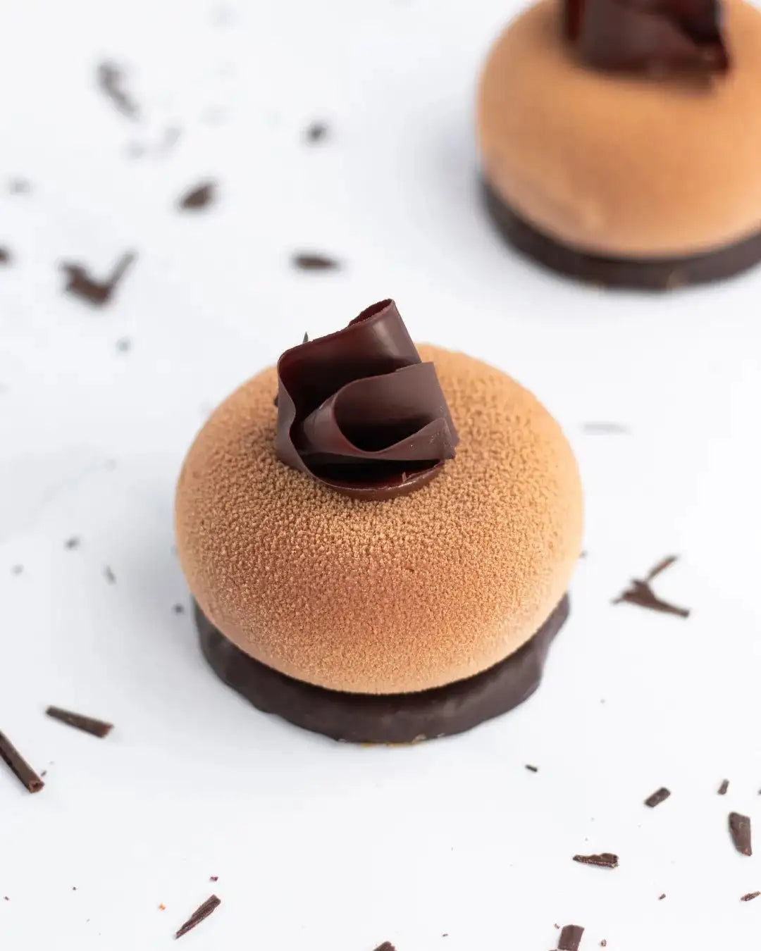 Gâteau Ecrin praliné Maison Vatelier avec décor en chocolat noir sur fond blanc