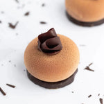 Gâteau Ecrin praliné Maison Vatelier avec décor en chocolat noir sur fond blanc